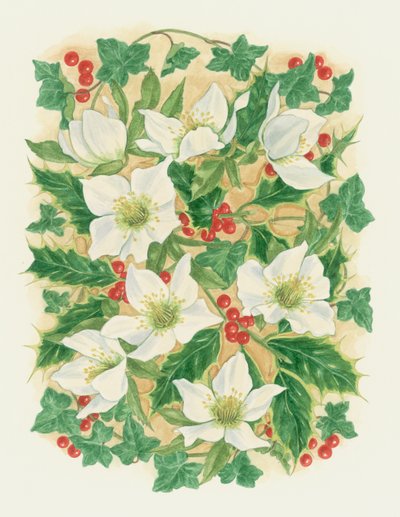 Christmas Roses, 1997 by Linda Benton